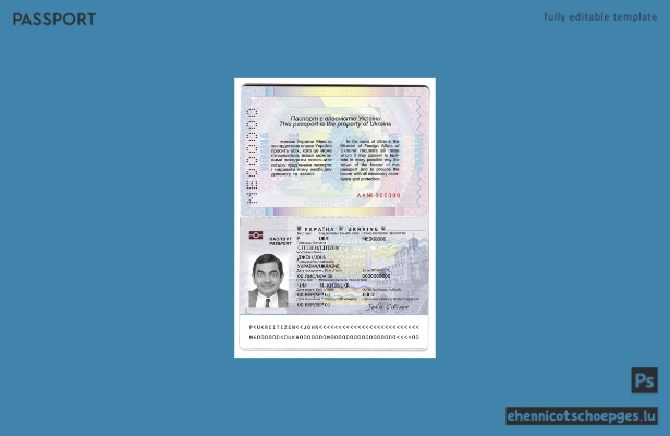 Ukraine-Pass 2015-heute – Beispielvorschau